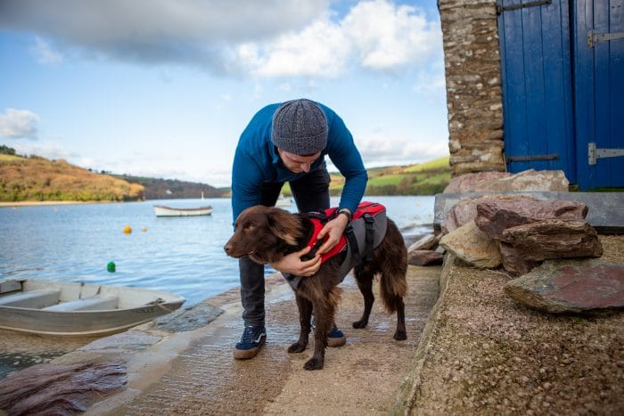 New in: Red Original Dog Buoyancy Aid