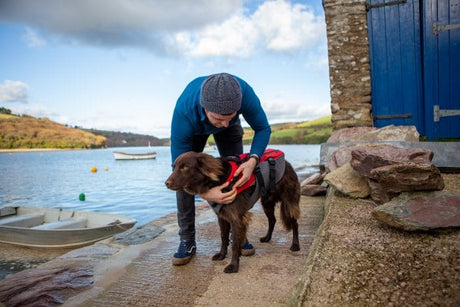 New in: Red Original Dog Buoyancy Aid
